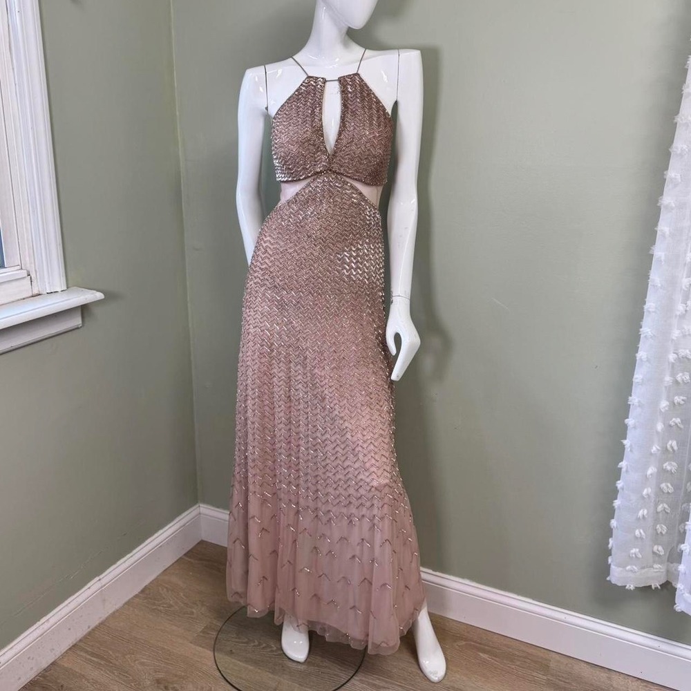 Adrianna Papell Beaded Mesh Cutout Gown – Champagne Blush Pink  Size US 2 | EU 3